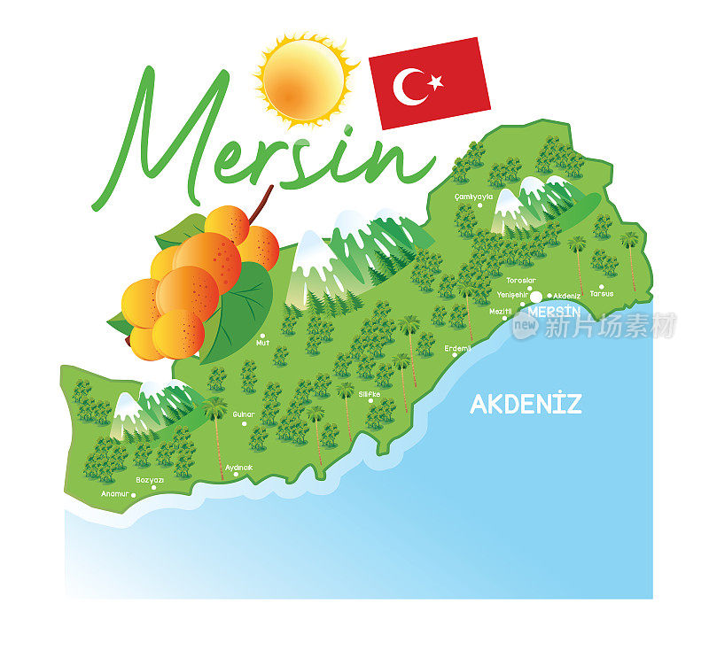 Mersin City和杏子